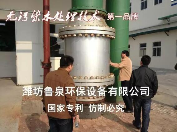 �����l(f��)늏Sˮϵ�y(t��ng)�ĴŻ�̎�����g������