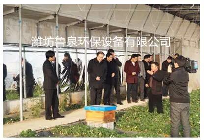 ����(ji��)ǰ��������ɽ���r�ƈ@��ϲ������Ȫ���B(t��i)ˮ��ȷNֲ�ă�(y��u)�|��ݮ�������@�^(q��)���a���������������ʼҿڸ�!